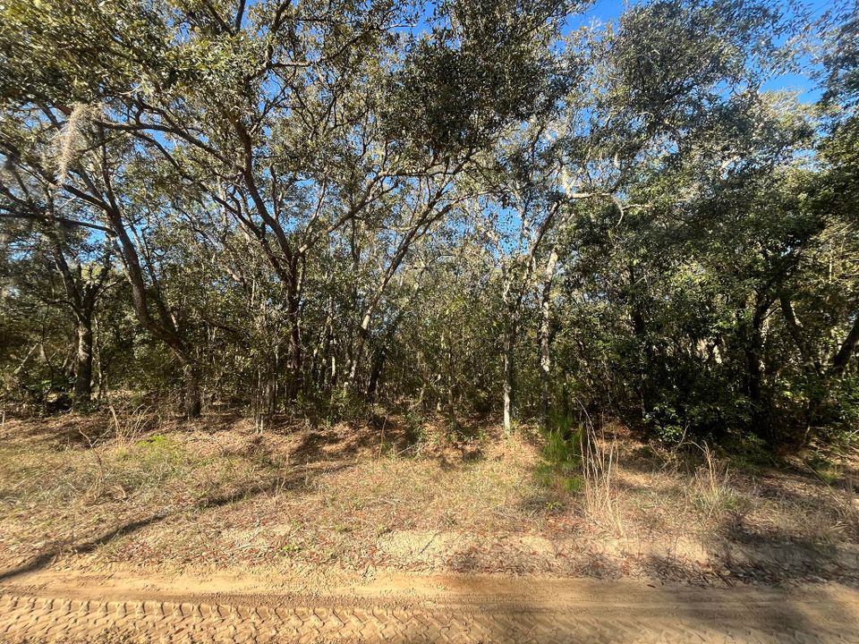 待售: $20,800 (0 贝兹, 0 浴室, 0 平方英尺)