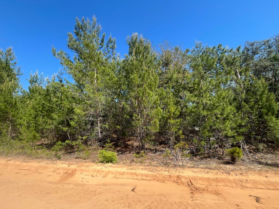 待售: $24,800 (0 贝兹, 0 浴室, 0 平方英尺)