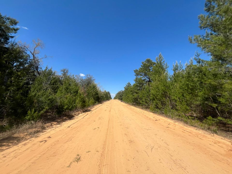 待售: $24,800 (0 贝兹, 0 浴室, 0 平方英尺)