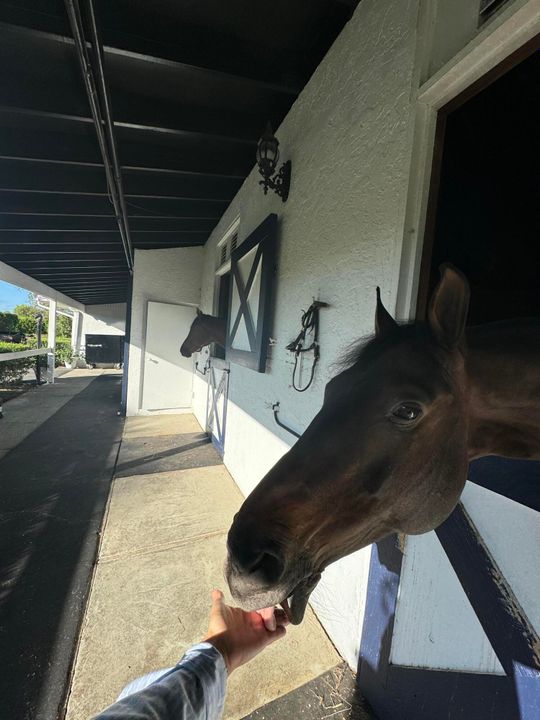 出租: $1,550 (2 贝兹, 1 浴室, 2500 平方英尺)