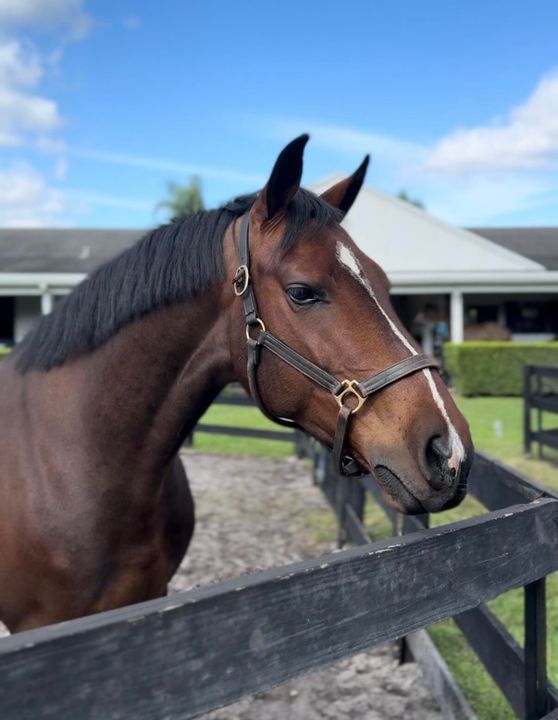 出租: $1,550 (2 贝兹, 1 浴室, 2500 平方英尺)