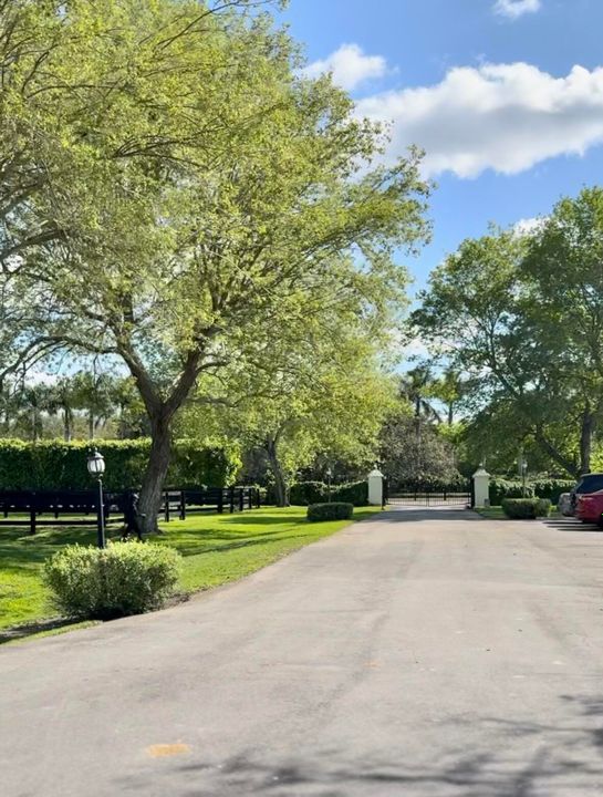 出租: $1,550 (2 贝兹, 1 浴室, 2500 平方英尺)