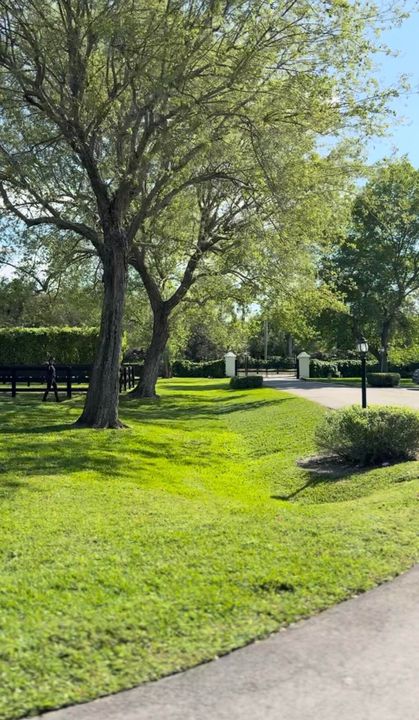 出租: $1,550 (2 贝兹, 1 浴室, 2500 平方英尺)