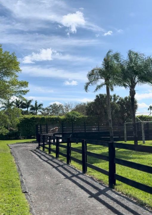 出租: $1,550 (2 贝兹, 1 浴室, 2500 平方英尺)