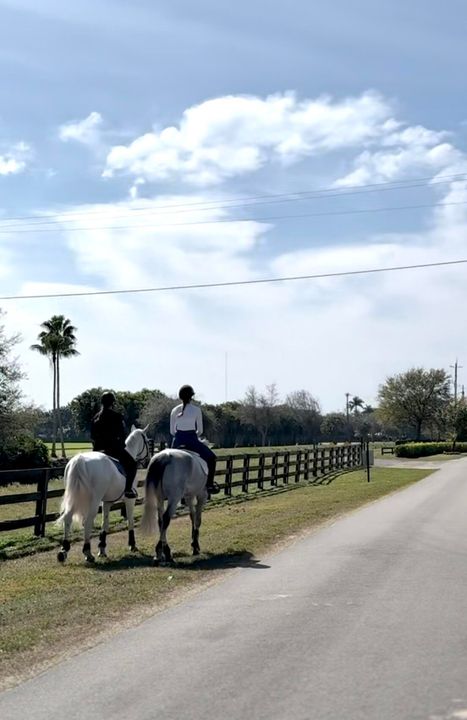 出租: $1,550 (2 贝兹, 1 浴室, 2500 平方英尺)