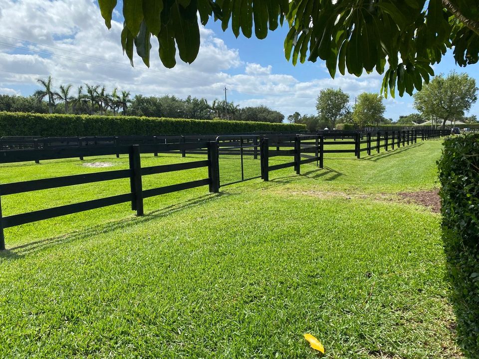 出租: $1,550 (2 贝兹, 1 浴室, 2500 平方英尺)