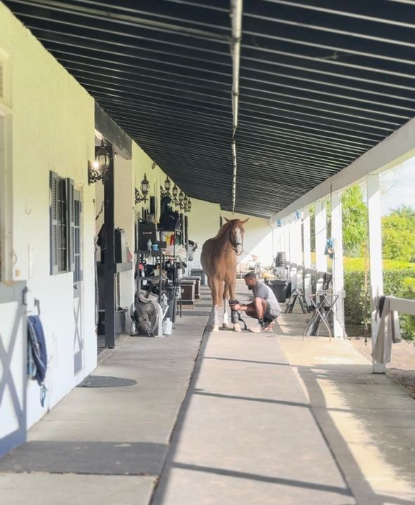 出租: $1,550 (2 贝兹, 1 浴室, 2500 平方英尺)