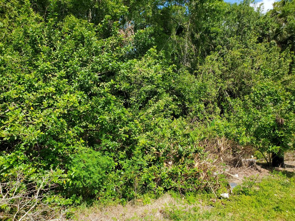 Active With Contract: $89,900 (0 beds, 0 baths, 0 Square Feet)