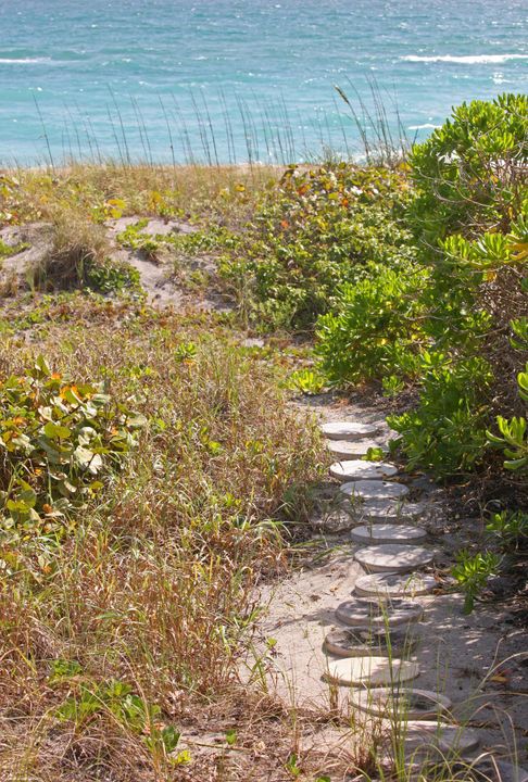 待售: $24,000,000 (7 贝兹, 7 浴室, 7653 平方英尺)