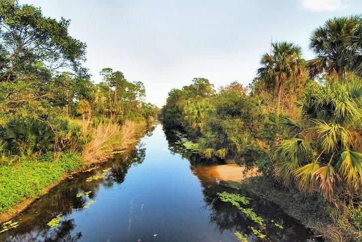 合同活跃: $5,000 (2 贝兹, 2 浴室, 1272 平方英尺)