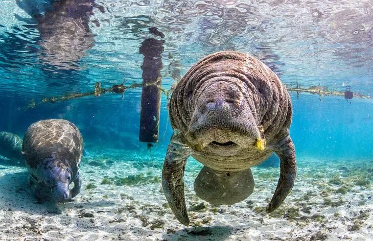 合同活跃: $5,000 (2 贝兹, 2 浴室, 1272 平方英尺)