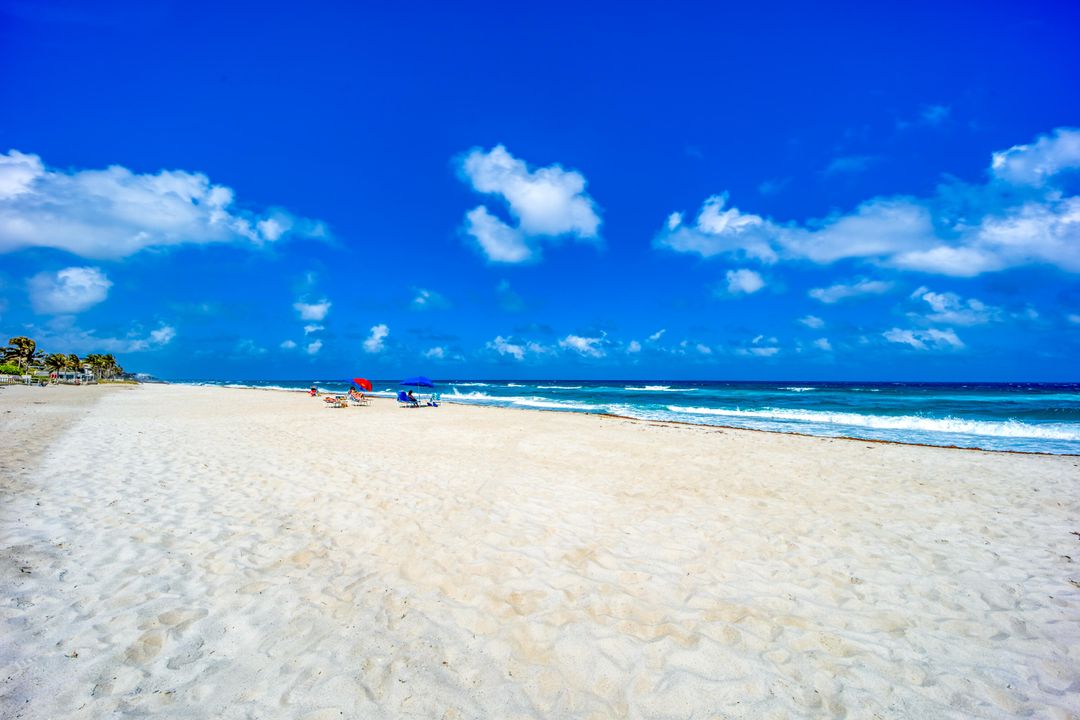 На продажу: $779,900 (3 спален, 2 ванн, 1618 Квадратных фут)