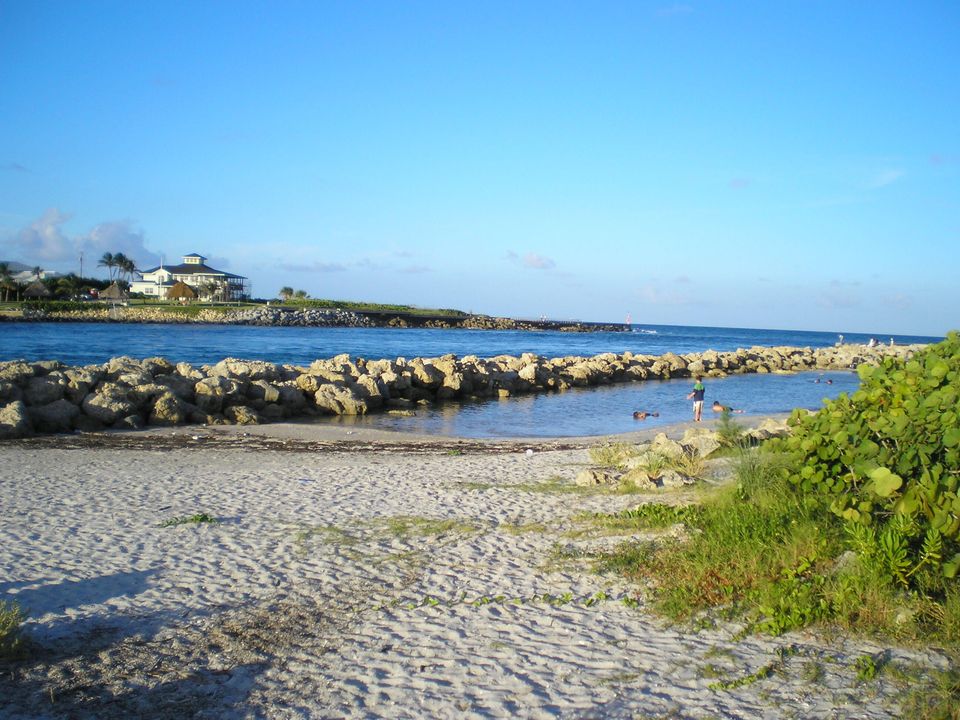 Под контрактом: $6,800 (2 спален, 2 ванн, 1183 Квадратных фут)