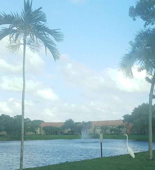 Active With Contract: $235,000 (2 beds, 1 baths, 1038 Square Feet)