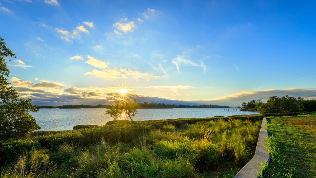 На продажу: $2,999,000 (4 спален, 4 ванн, 3501 Квадратных фут)