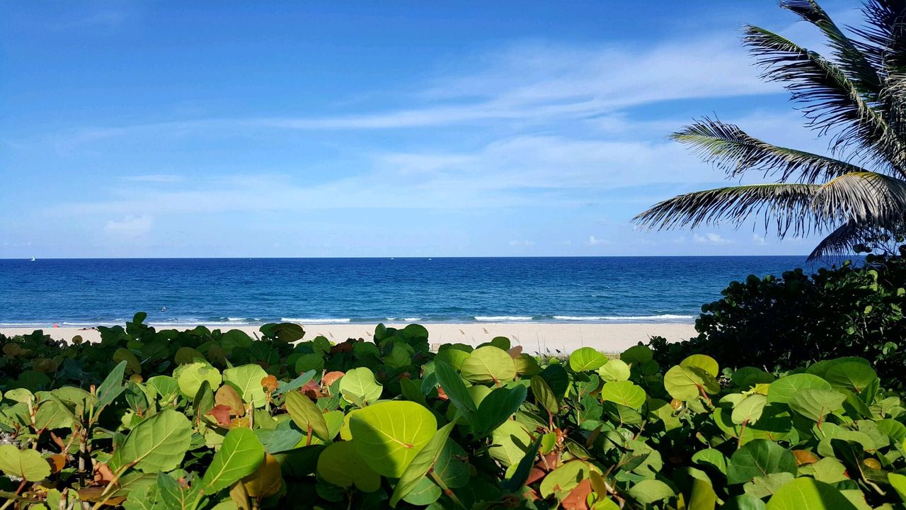 Active With Contract: $2,500 (1 beds, 1 baths, 629 Square Feet)