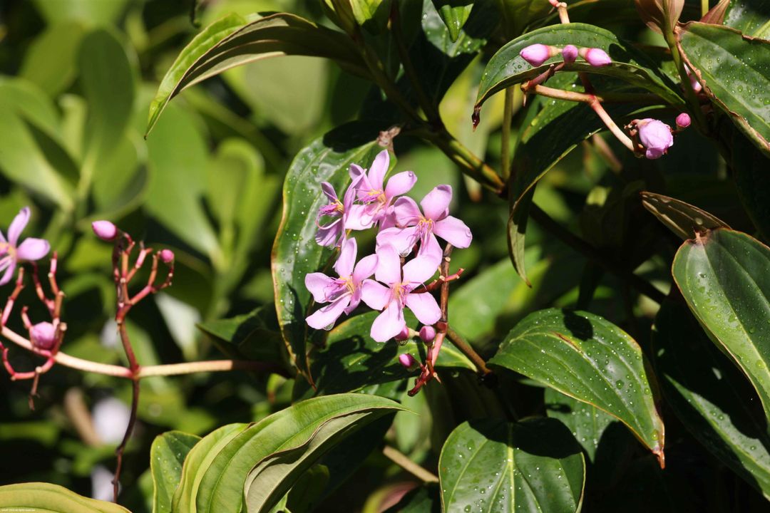 Active With Contract: $20,000 (3 beds, 3 baths, 1754 Square Feet)