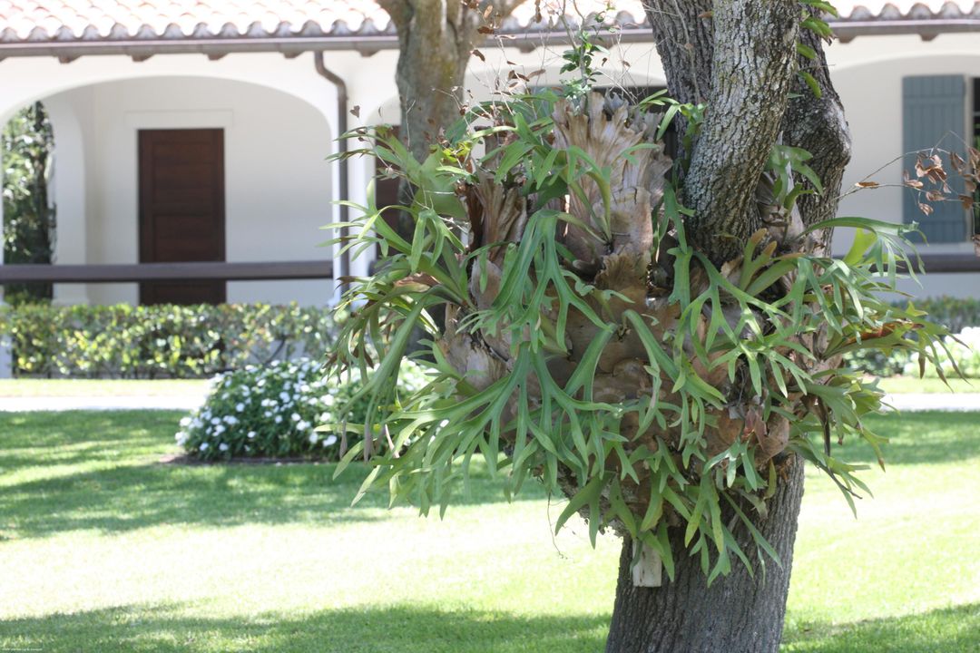 En Venta: $21,500,000 (8 camas, 12 baños, 9544 Pies cuadrados)