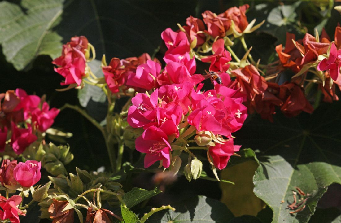 En Venta: $21,500,000 (8 camas, 12 baños, 9544 Pies cuadrados)