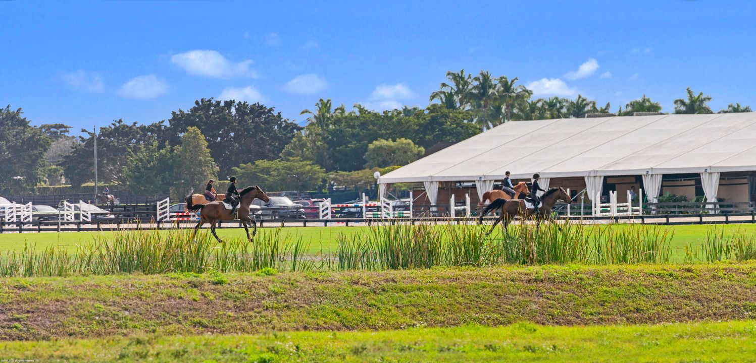 En Venta: $21,500,000 (8 camas, 12 baños, 9544 Pies cuadrados)