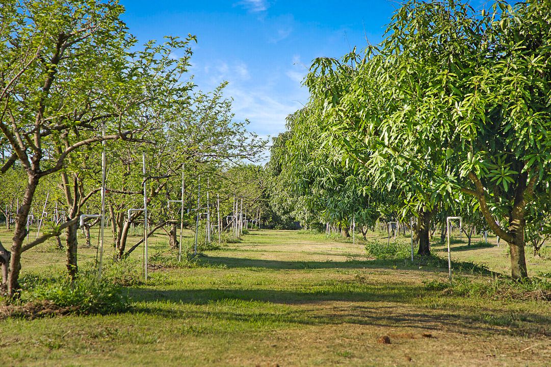 For Sale: $3,299,000 (6 beds, 4 baths, 5244 Square Feet)