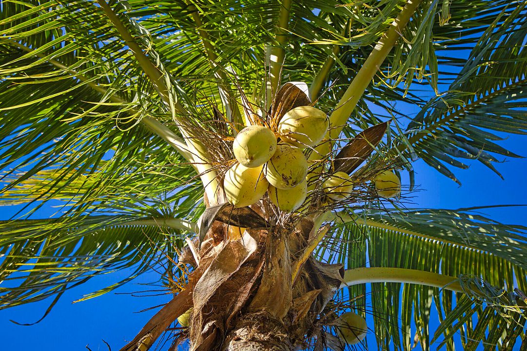 For Sale: $3,299,000 (6 beds, 4 baths, 5244 Square Feet)