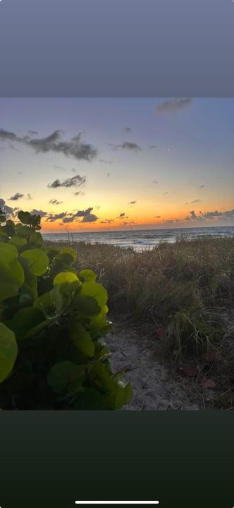 На продажу: $4,995,000 (1 спален, 1 ванн, 576 Квадратных фут)