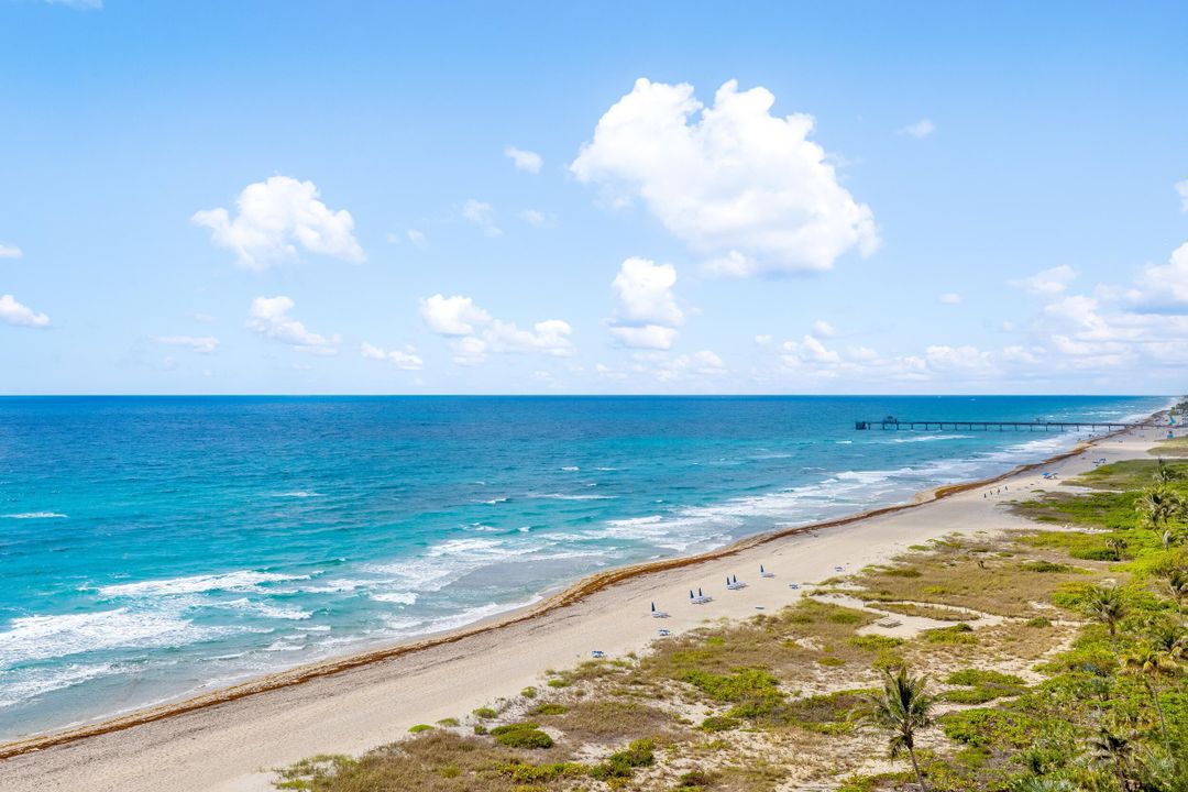 Под контрактом: $7,695,000 (4 спален, 4 ванн, 4482 Квадратных фут)