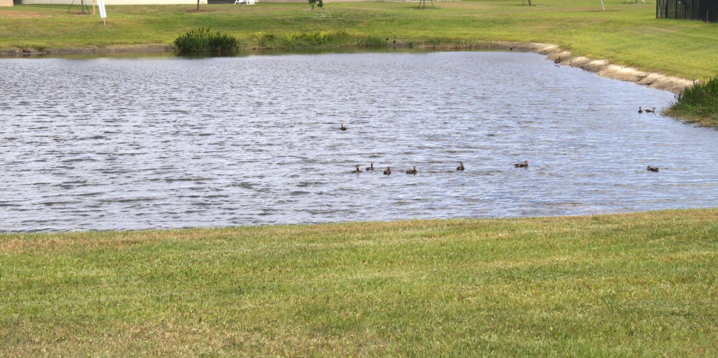 待售: $367,000 (4 贝兹, 2 浴室, 1846 平方英尺)