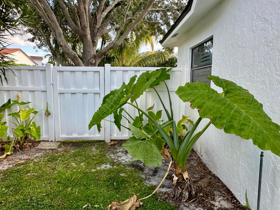 For Rent: $6,250 (2 beds, 2 baths, 1778 Square Feet)