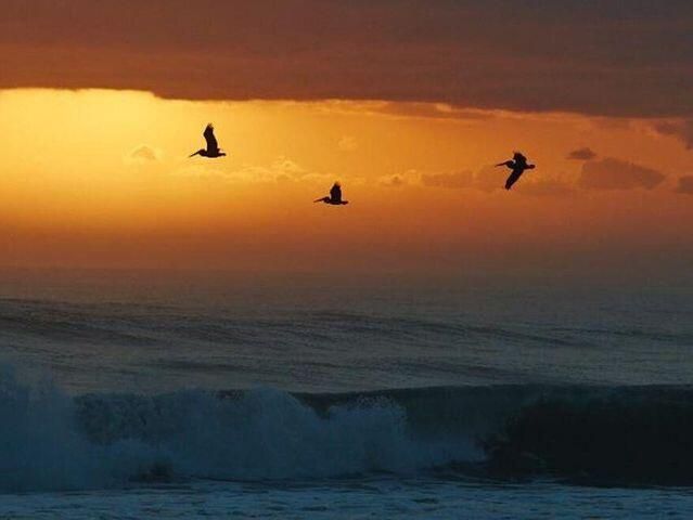 На продажу: $459,999 (2 спален, 2 ванн, 1064 Квадратных фут)