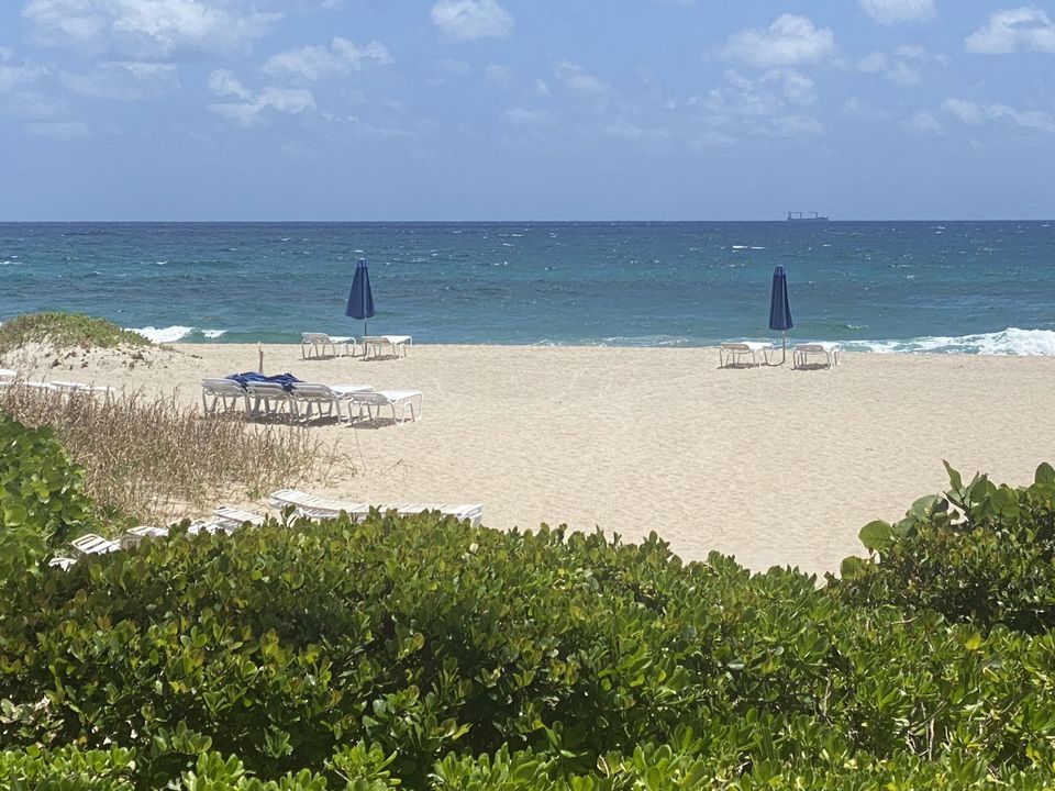 待售: $2,775,000 (3 贝兹, 2 浴室, 2145 平方英尺)