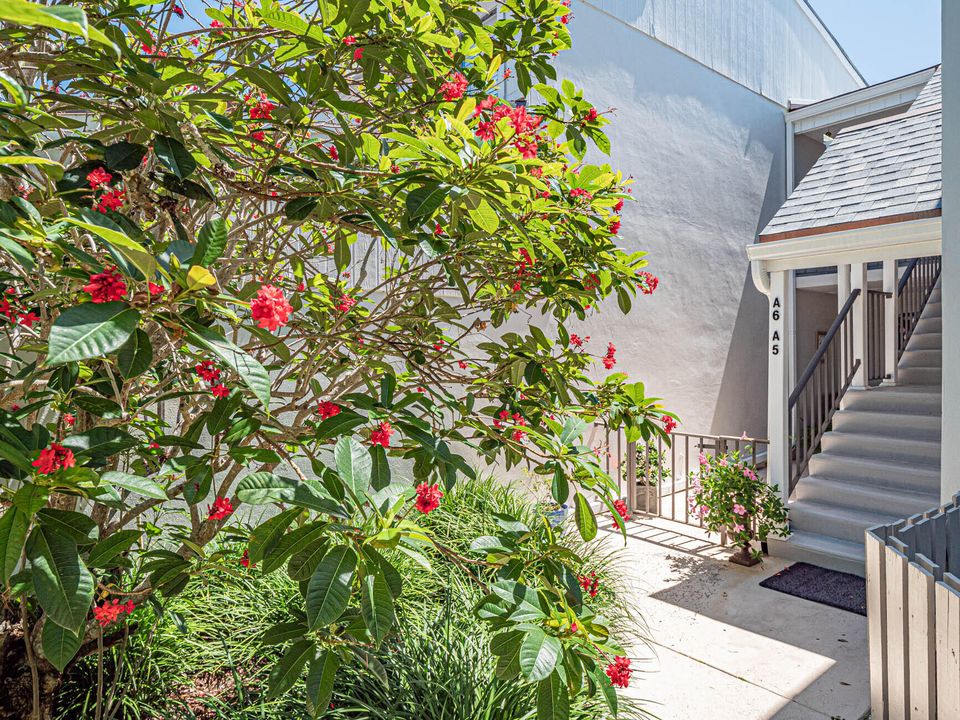 В аренду: $5,900 (2 спален, 2 ванн, 1200 Квадратных фут)