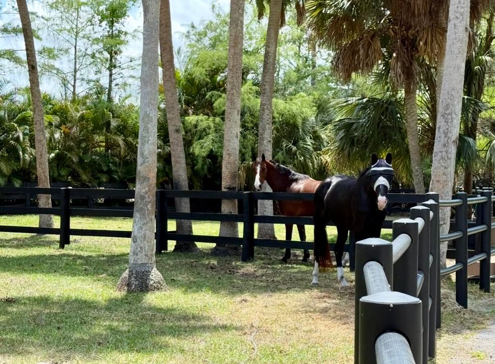 For Sale: $2,100,000 (4 beds, 2 baths, 3000 Square Feet)