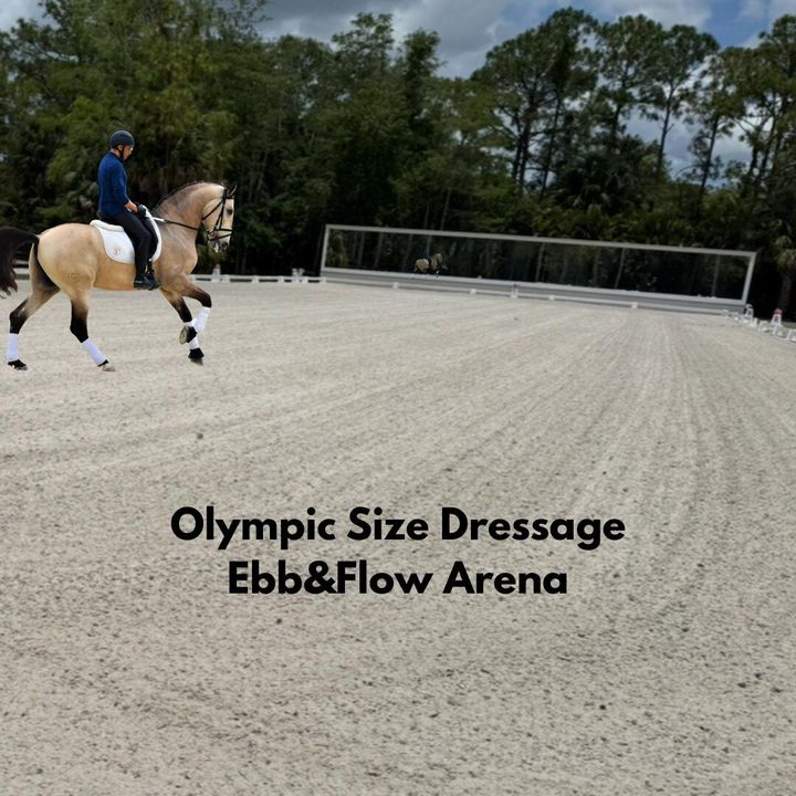 For Sale: $2,100,000 (4 beds, 2 baths, 3000 Square Feet)