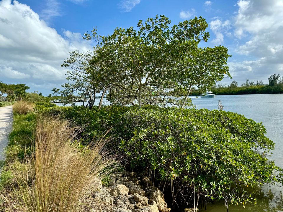 En Renta: $3,500 (3 camas, 2 baños, 1711 Pies cuadrados)