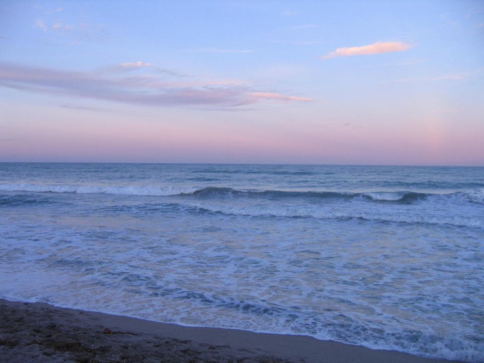 Activo con contrato: $4,500 (2 camas, 2 baños, 1385 Pies cuadrados)