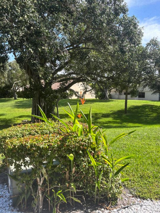 Vendido Recientemente: $360,000 (3 camas, 2 baños, 1286 Pies cuadrados)