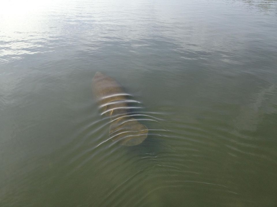 For Sale: $299,950 (0 beds, 0 baths, 0 Square Feet)