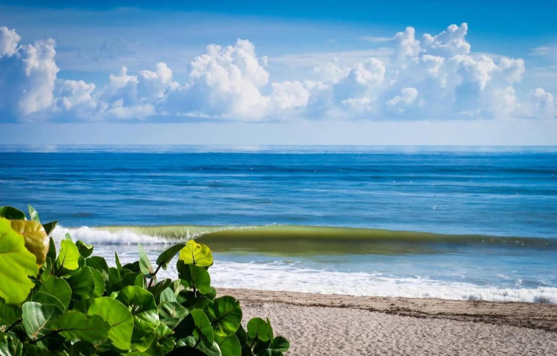 For Rent: $10,500 (3 beds, 2 baths, 1667 Square Feet)