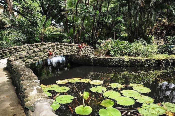 Active With Contract: $4,000 (2 beds, 2 baths, 1036 Square Feet)