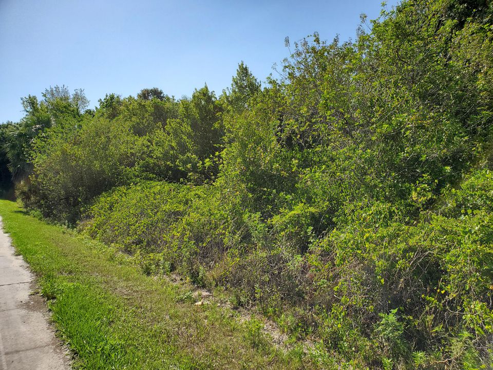 Под контрактом: $95,000 (0 спален, 0 ванн, 0 Квадратных фут)