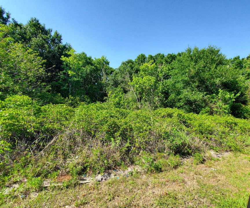 Под контрактом: $95,000 (0 спален, 0 ванн, 0 Квадратных фут)