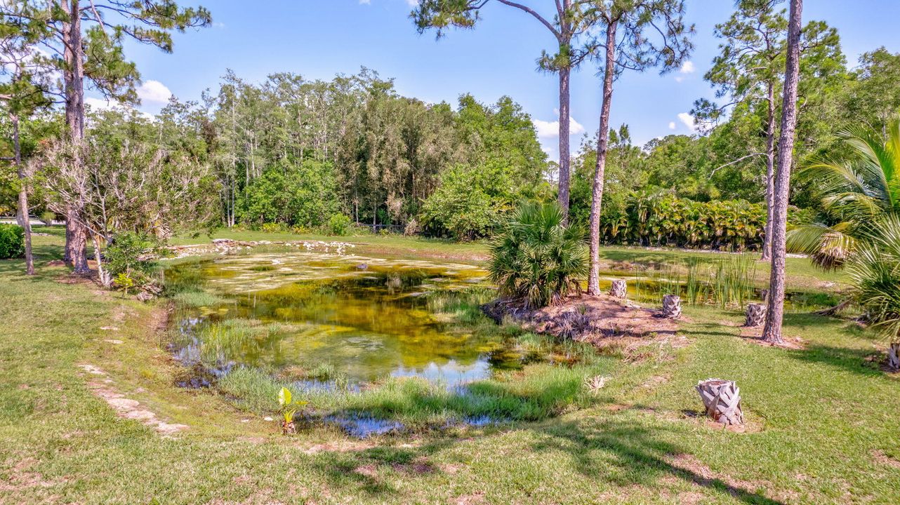 Под контрактом: $9,000 (5 спален, 3 ванн, 3329 Квадратных фут)