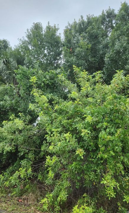 最近售出: $135,000 (0 贝兹, 0 浴室, 0 平方英尺)