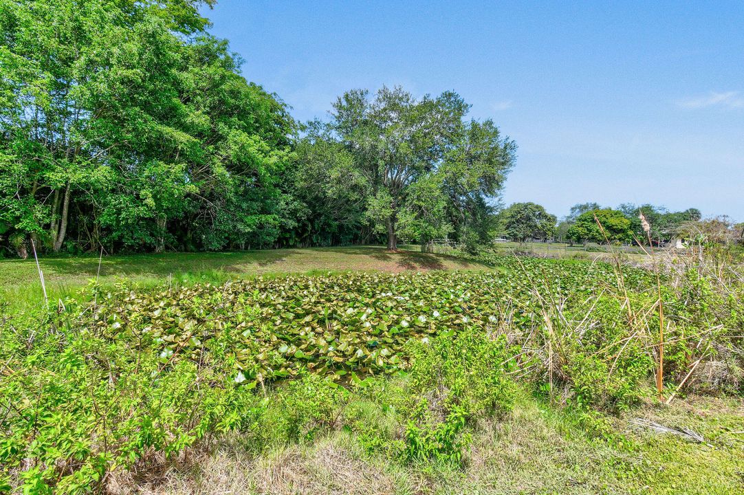 Под контрактом: $995,000 (5 спален, 3 ванн, 3978 Квадратных фут)