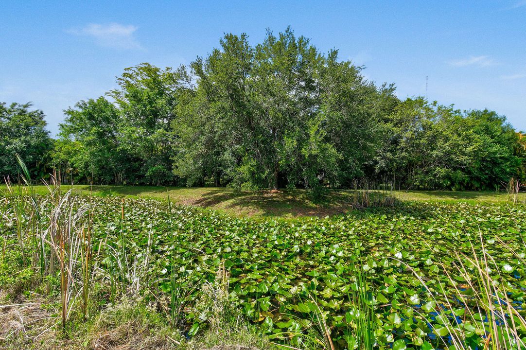 Под контрактом: $995,000 (5 спален, 3 ванн, 3978 Квадратных фут)