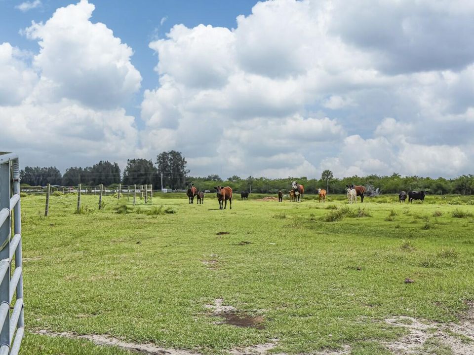 For Sale: $795,000 (0 beds, 0 baths, 0 Square Feet)