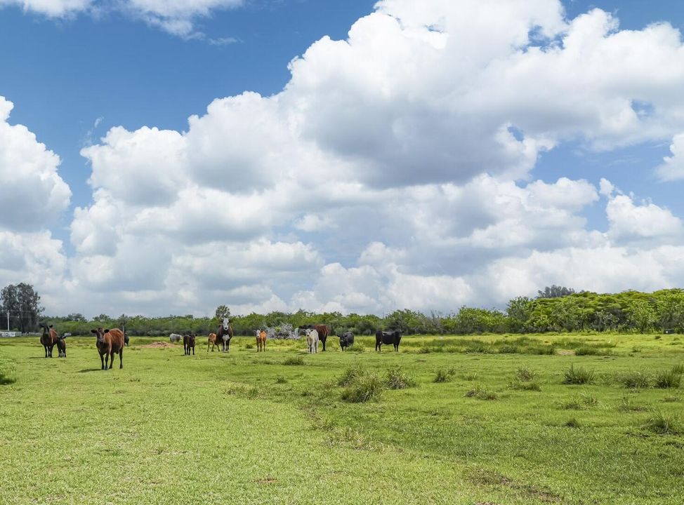 For Sale: $795,000 (0 beds, 0 baths, 0 Square Feet)