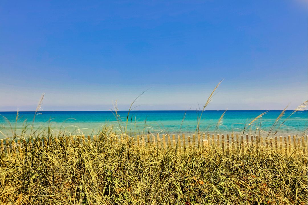 Active With Contract: $9,000 (2 beds, 2 baths, 1580 Square Feet)